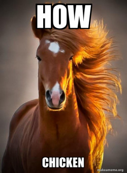 Ridiculously photogenic horse