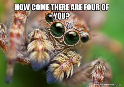 Hipster Spider