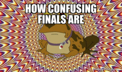 Hypnotoad