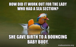 Fashionable Advice Mallard