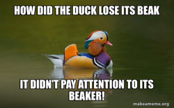 Fashionable Advice Mallard