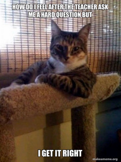 The Most Interesting Cat in the World