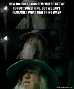 Confused Gandalf