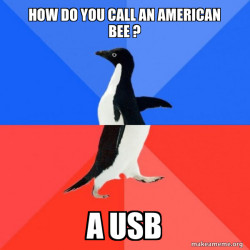 Socially Awkward Awesome Penguin