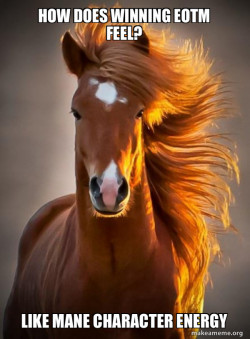 Ridiculously photogenic horse