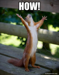 Happy Squirrel