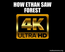 Caught in 4k