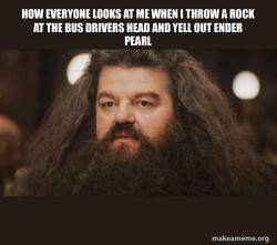 Hagrid - I should not have said that