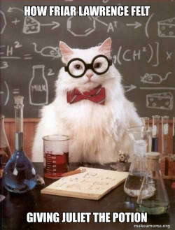 Chemistry Cat