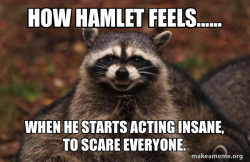 Evil Plotting Raccoon