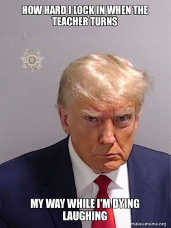Donald Trump Mugshot
