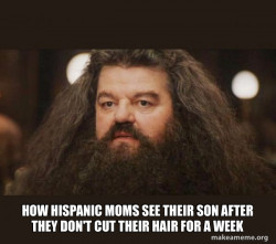 Hagrid - I should not have said that