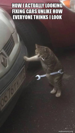 Mechanic Cat