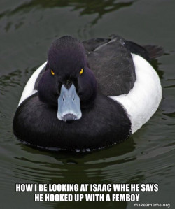 Revenge Duck ( Angry Advice Duck )