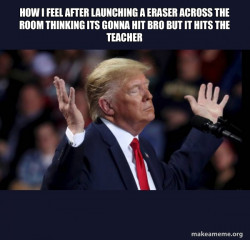Trump Impeached