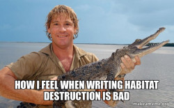 Steve irwin