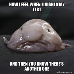 Blobfish