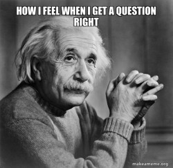 Serious Albert Einstein
