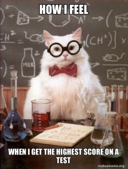 Chemistry Cat