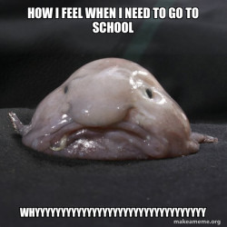 Blobfish
