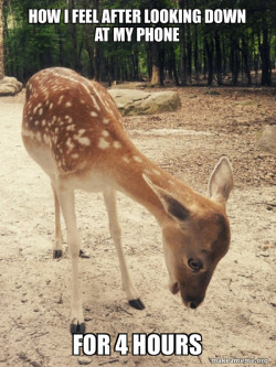 O M G Deer