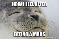 Satisfied Seal