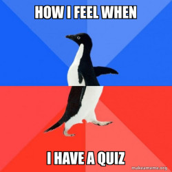 Socially Awkward Awesome Penguin
