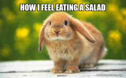 Regretful Rabbit