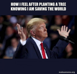 Trump Impeached