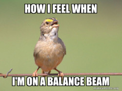 Common Opinion Sparrow