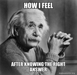 Serious Albert Einstein