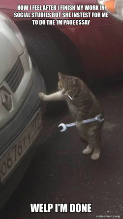 Mechanic Cat