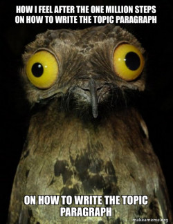 Weird Stuff I do Potoo