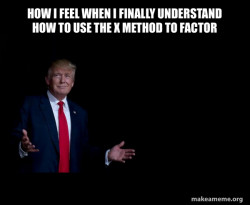 Trump Everything is FIne
