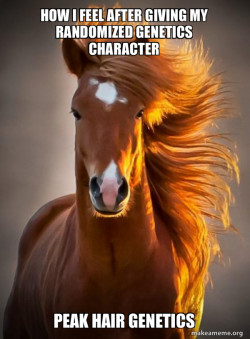 Ridiculously photogenic horse