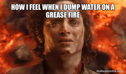 Frodo it's over it's done