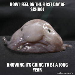 Blobfish