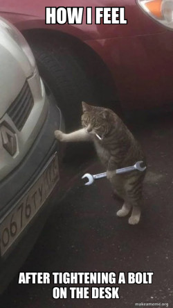 Mechanic Cat