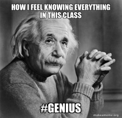 Serious Albert Einstein