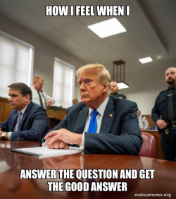 Trump Court Room