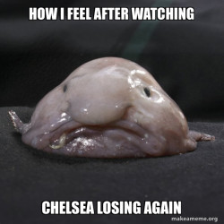 Blobfish