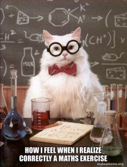 Chemistry Cat
