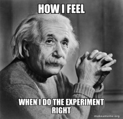 Serious Albert Einstein