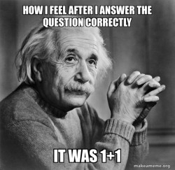 Serious Albert Einstein
