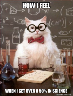 Chemistry Cat
