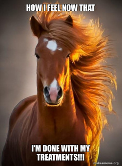 Ridiculously photogenic horse