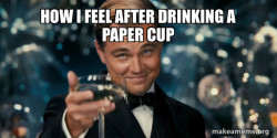Great Gatsby Reaction - Leonardo DiCaprio Toast