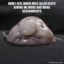 Blobfish