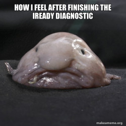 Blobfish