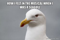 Stuff That Didn't Happen Seagull